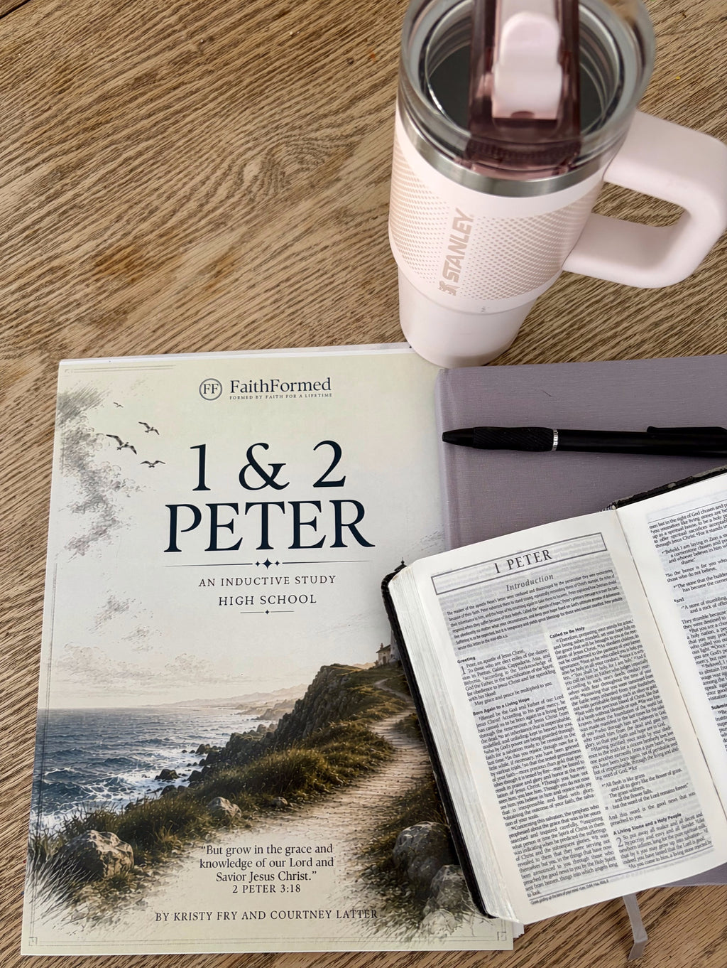 FaithFormed 1 & 2 Peter: High School Bible Curriculum (Print)