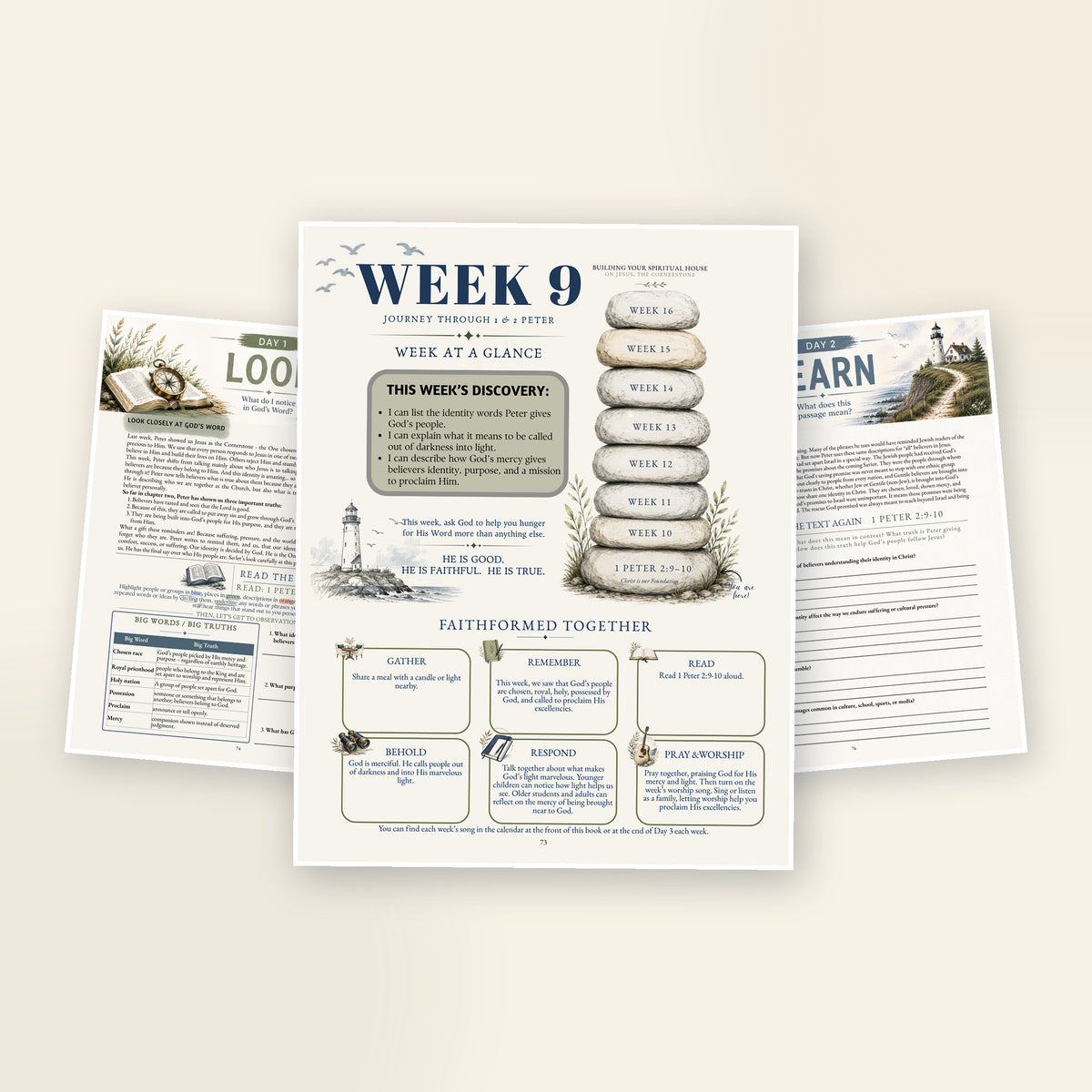 FaithFormed 1 & 2 Peter: Middle School Bible Curriculum (Print)